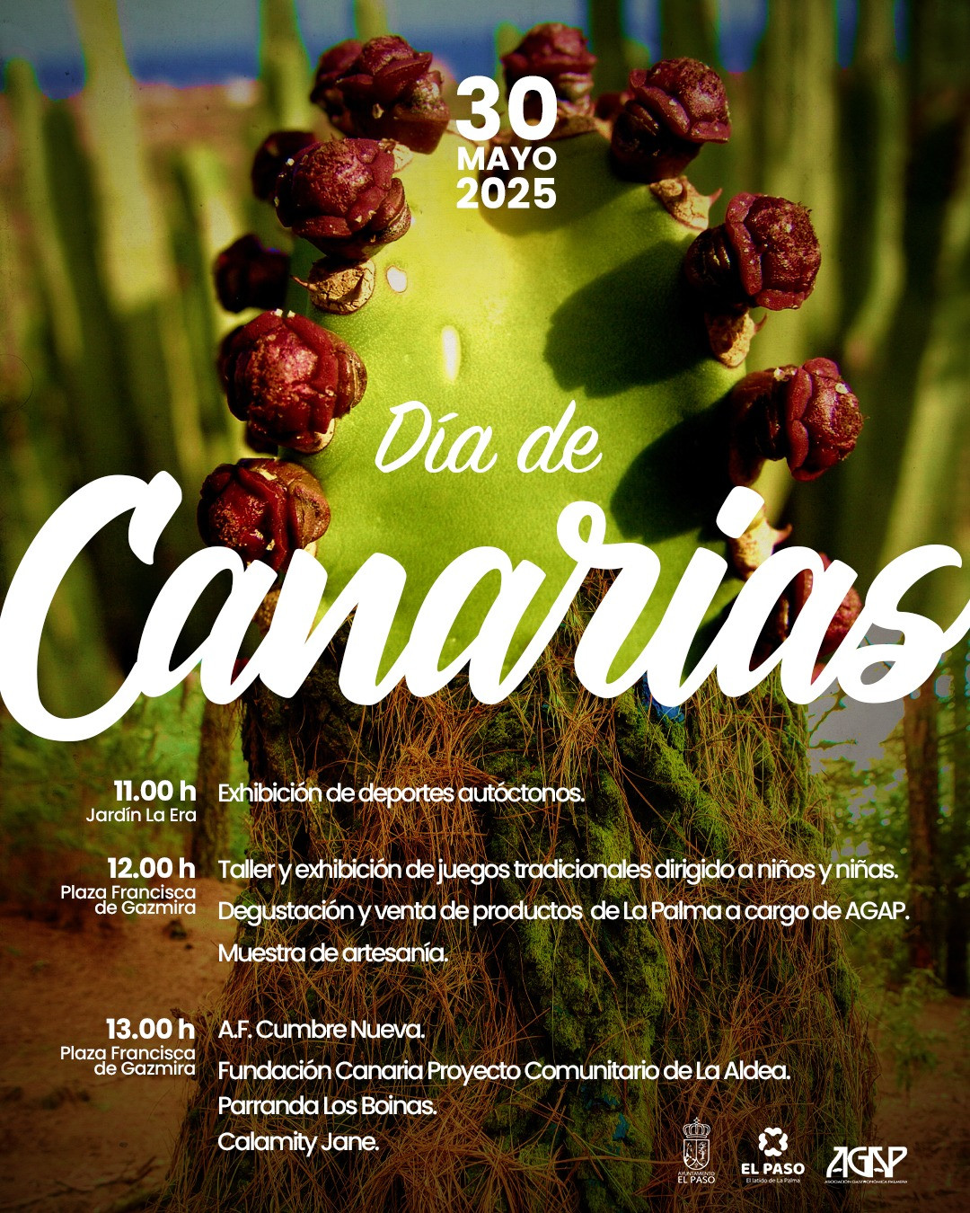 NP 20250526 DIA DE CANARIAS EL PASO