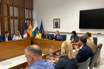 Comisión Discapacidad 2