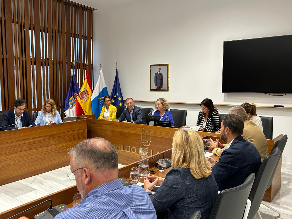 Comisiu00f3n Discapacidad 2