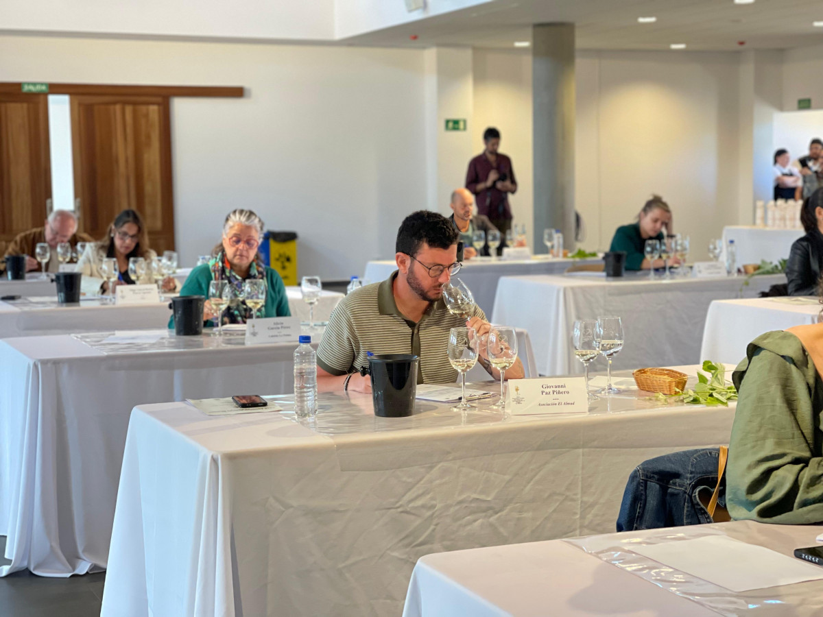 GARAFu00cdA   CONCURSO VINOS DO