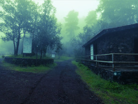 P1230926