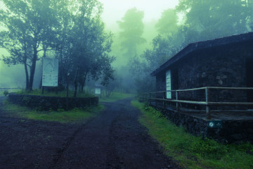 P1230926