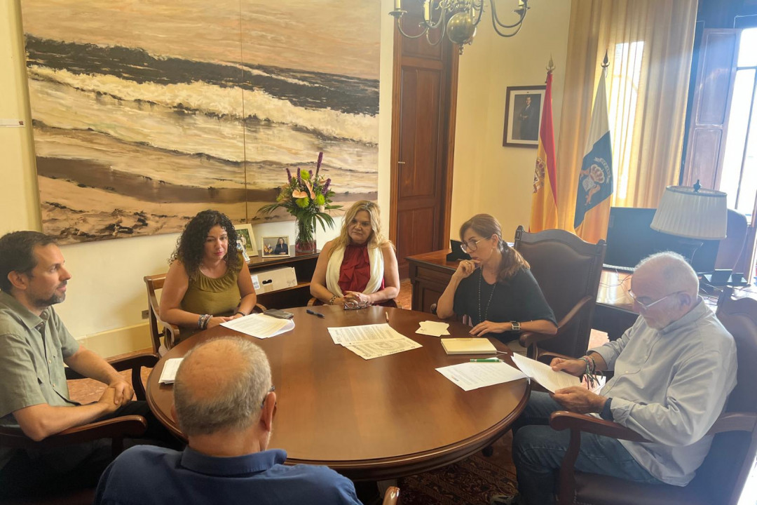 ​La Plataforma de Médicos de Familia y Pediatras de Atención Primaria piden amparo a la Diputación del Común por “maltrato institucional continuado”