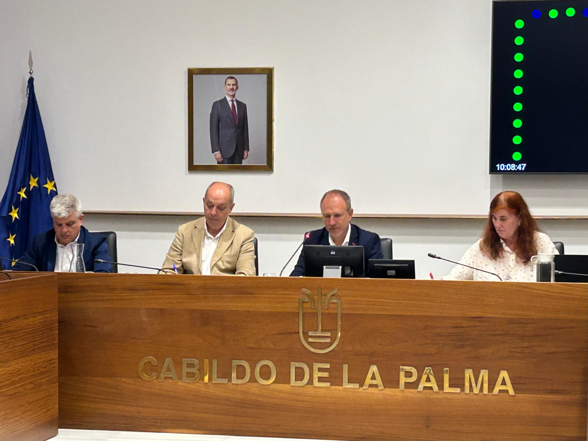 Pleno 14 de julio