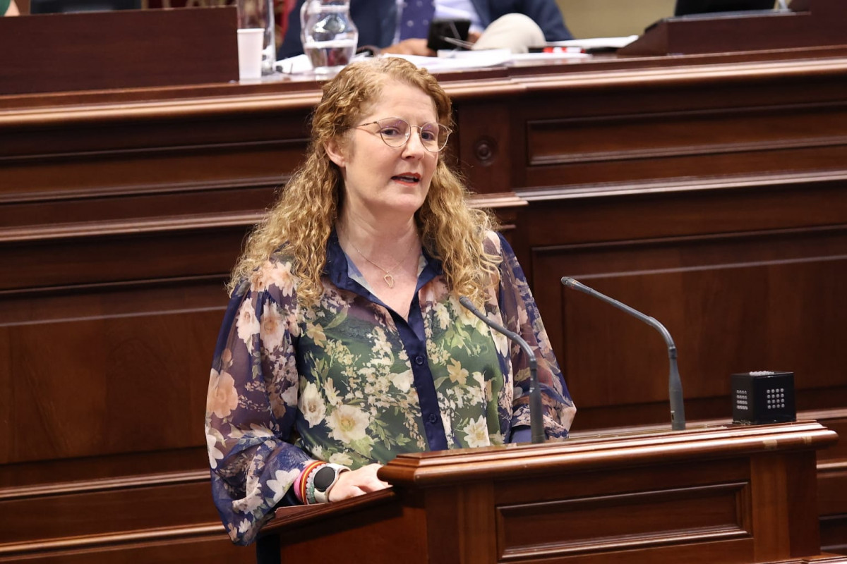 RAQUEL Du00cdAZ PARLAMENTO DE CANARIAS   JUL2025