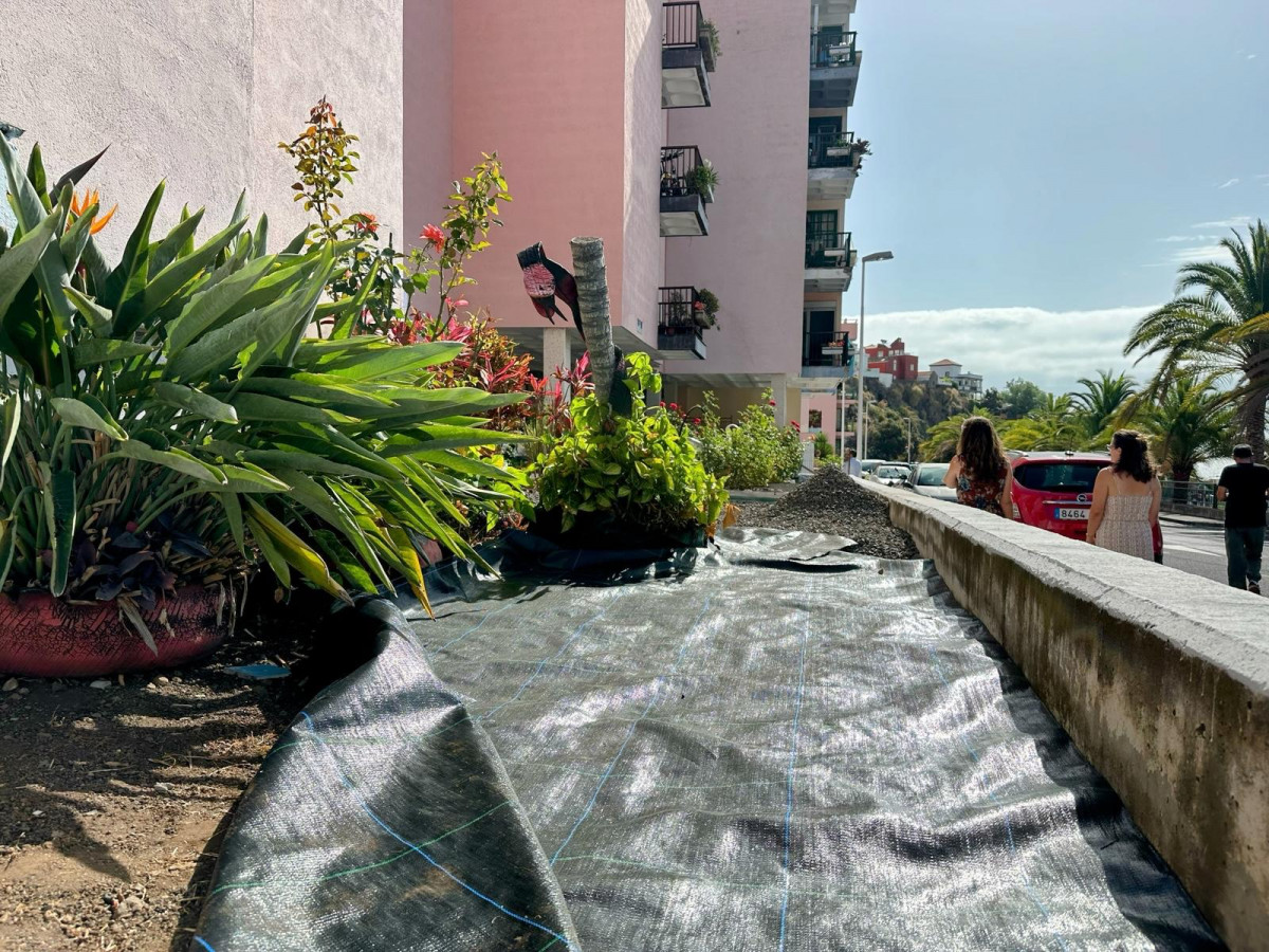 Foto 3 Detalle de los trabajos que se estau0301n acometiendo en los jardines del frente de la urbanizaciou0301n Bemahoare