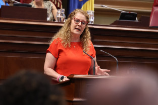 PLENO 23 7 25 (6)