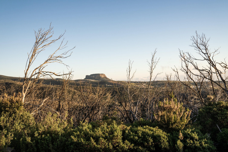 Parque Nacional de Garajonay 2