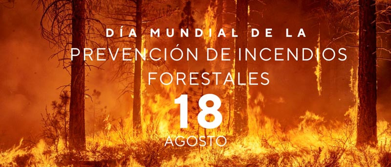 18 de agosto Dia Mundial de la Prevencion de Incendios Forestales de Revista Marketing