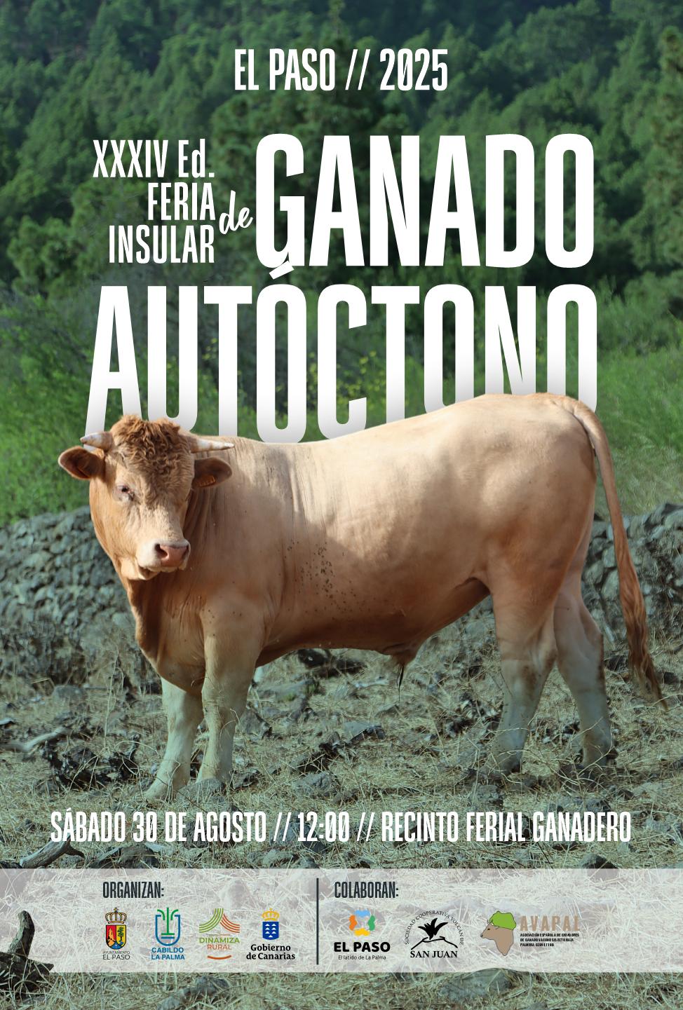 CARTEL FERIA GANADO XXXIV ed. 2025
